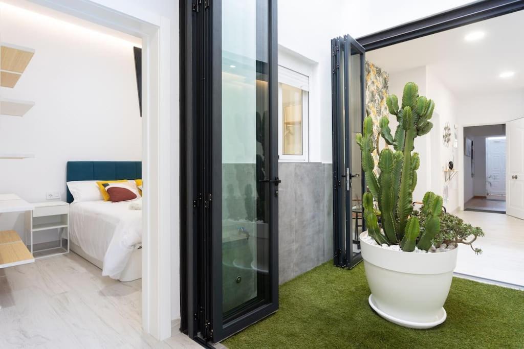 Sunny Island Terraza San Andres Apartment Ngoại thất bức ảnh